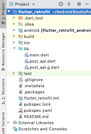flutter retrofit