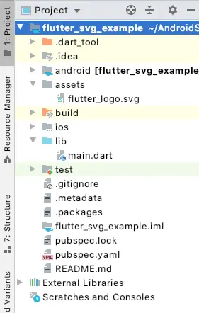flutter svg