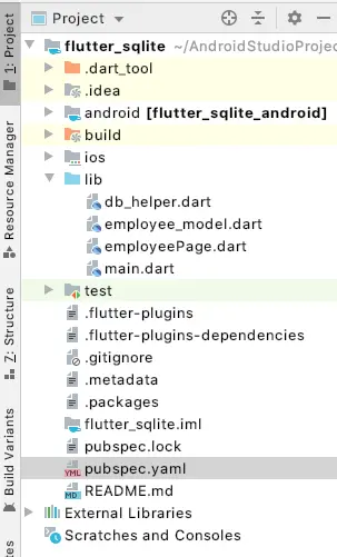 flutter SQLite
