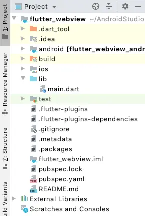 flutter webview