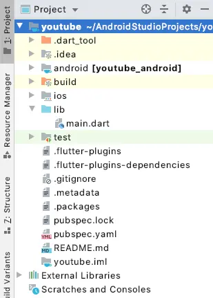 flutter youtube