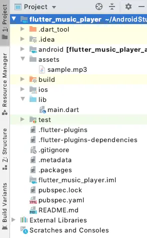 flutter audio player