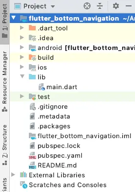 Flutter bottom navigation bar 