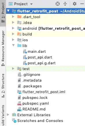 flutter retrofit post