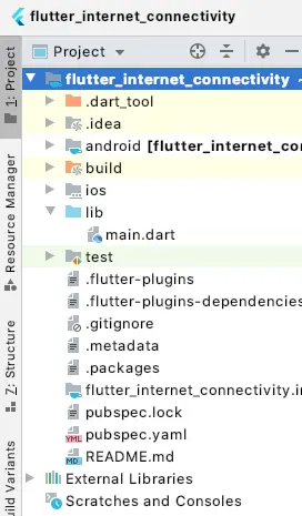 flutter internet connectivity