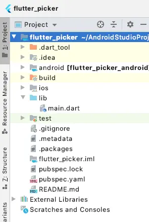 flutter date time picker