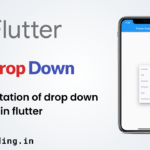 Flutter Dropdown Button tutorial for beginners