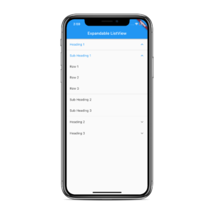 Flutter expandable listview tutorial - AndroidCoding.in