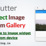 Flutter pick image from gallery | Image Picker