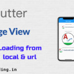 Flutter image loading | url – local image